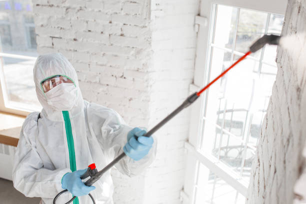 Best Mold Prevention Services  in Soledad, CA