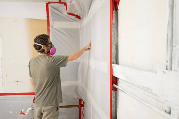 Professional Mold Removal in Soledad, CA