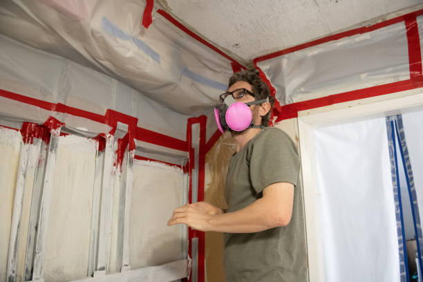Best Post-Construction Mold Inspection  in Soledad, CA