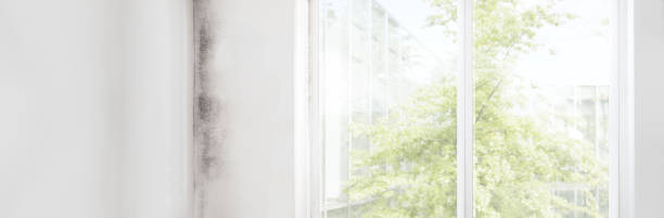 Best Dehumidification Services  in Soledad, CA